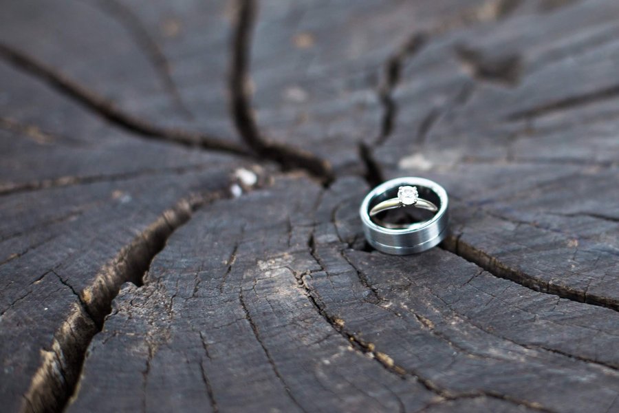 Wedding rings on a rustic stump